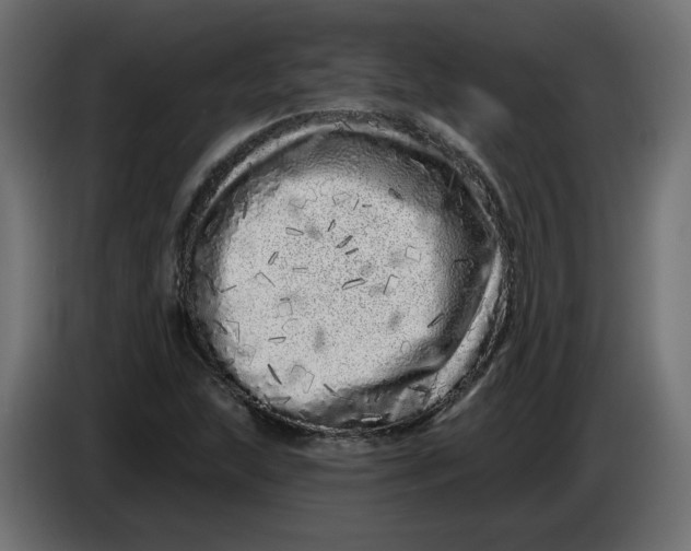 X0000086101215200704132140