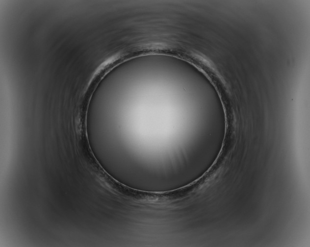 X0000086101218200704132140