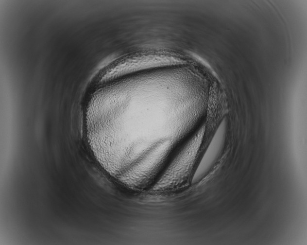 X0000086101219200704132140