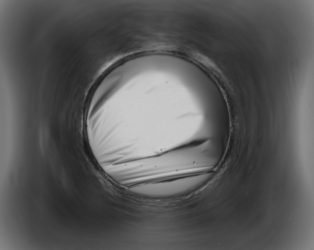 X0000086101220200704132140