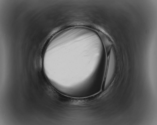 X0000086101221200704132140