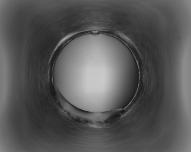 X0000086101222200704132140