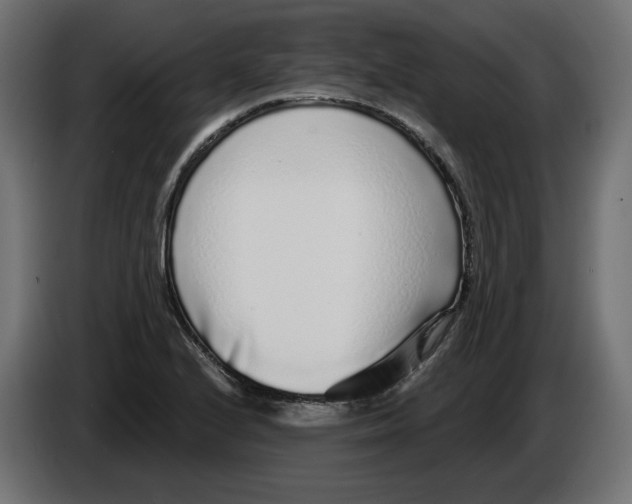 X0000086101224200704132140