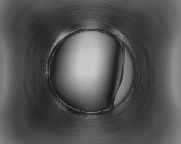 X0000086101226200704132140