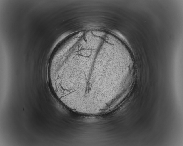 X0000086101227200704132140
