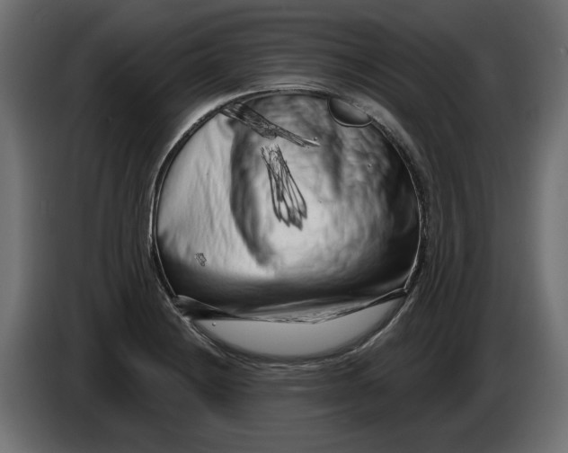 X0000086101228200704132140