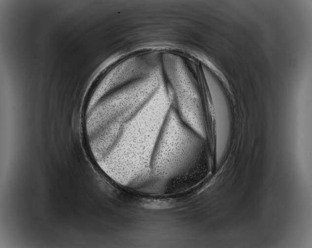 X0000086101229200704132140