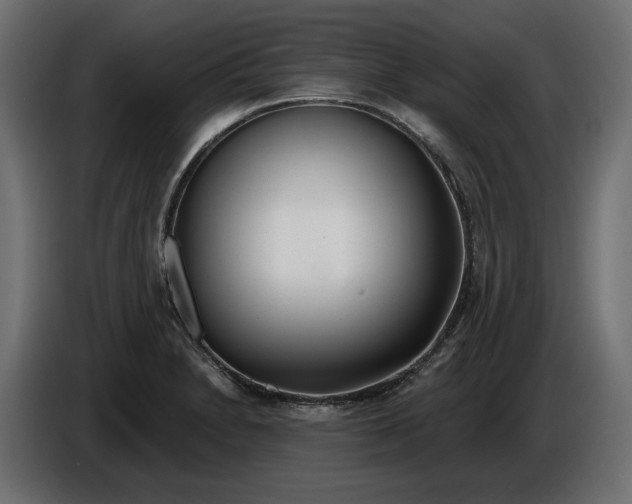X0000086101230200704132140