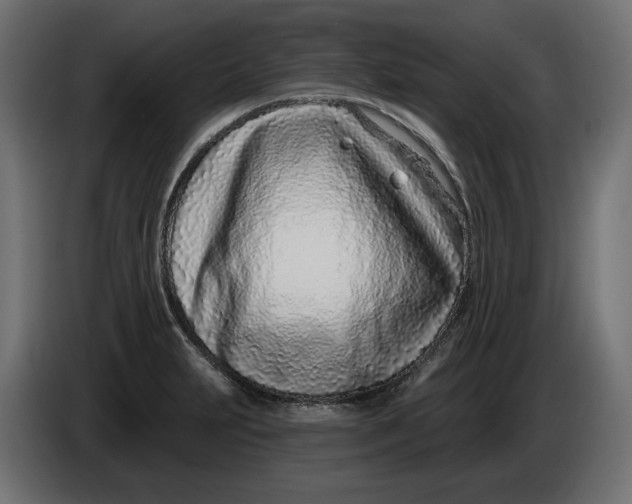 X0000086101231200704132140