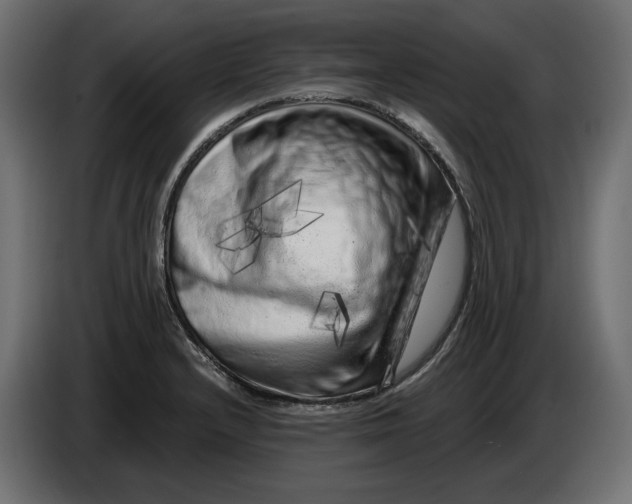 X0000086101232200704132140