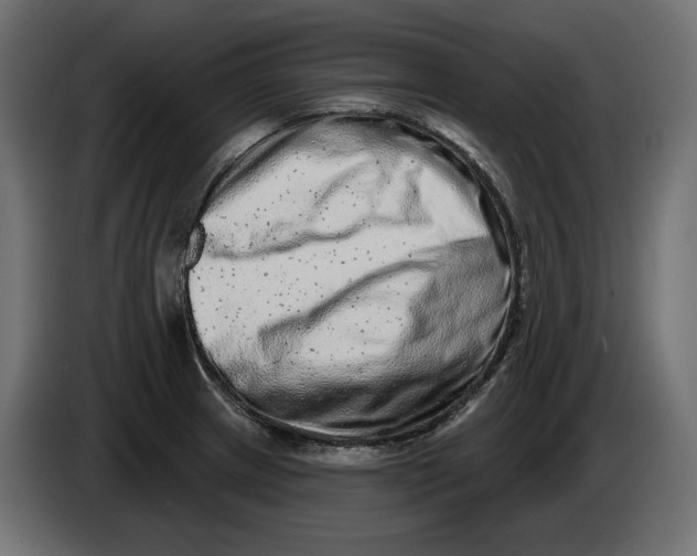 X0000086101233200704132140