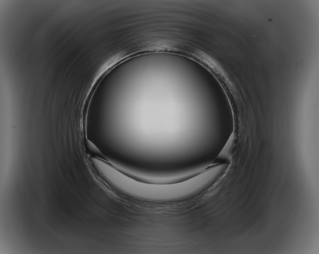 X0000086101234200704132140