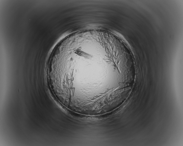 X0000086101235200704132140