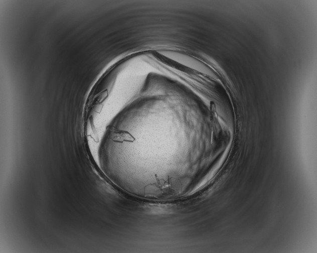 X0000086101236200704132140