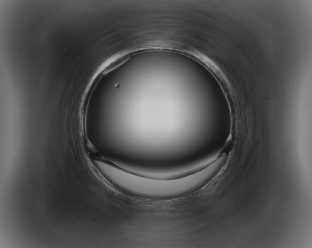 X0000086101238200704132140