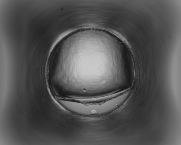 X0000086101239200704132140