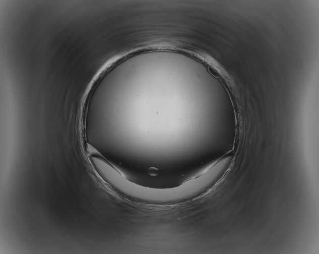 X0000086101240200704132140