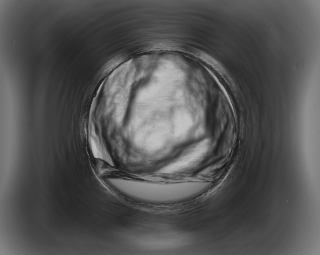 X0000086101241200704132140