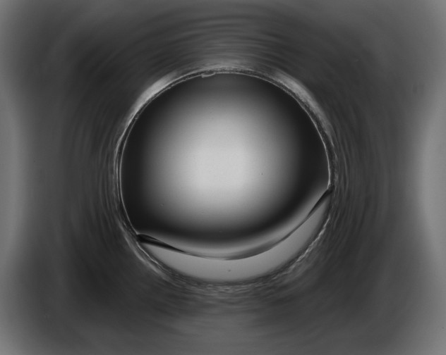 X0000086101242200704132140