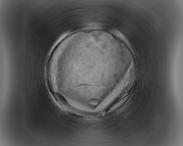 X0000086101243200704132140