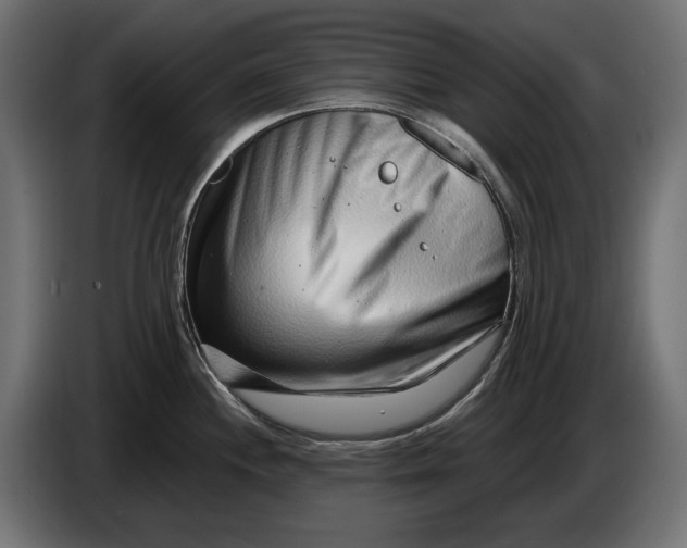 X0000086101244200704132140