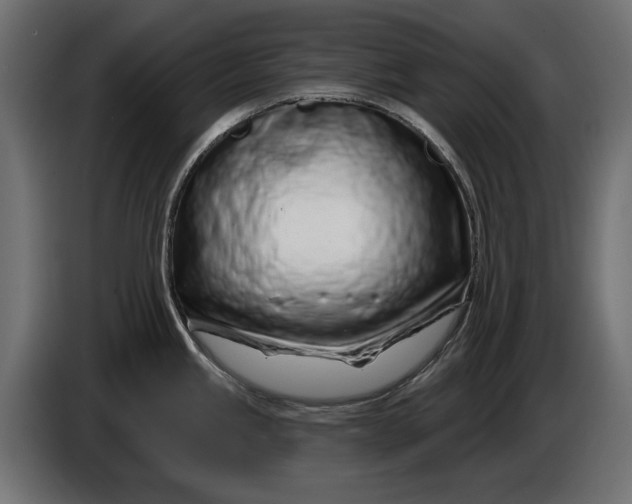 X0000086101245200704132140