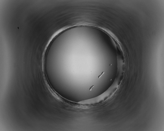 X0000086101246200704132140