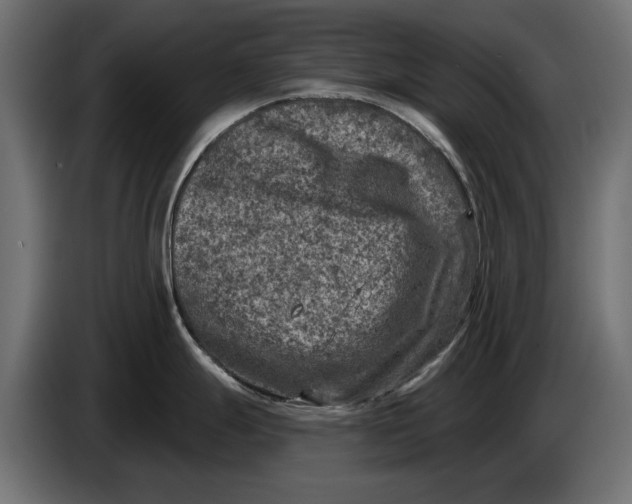 X0000086101247200704132140
