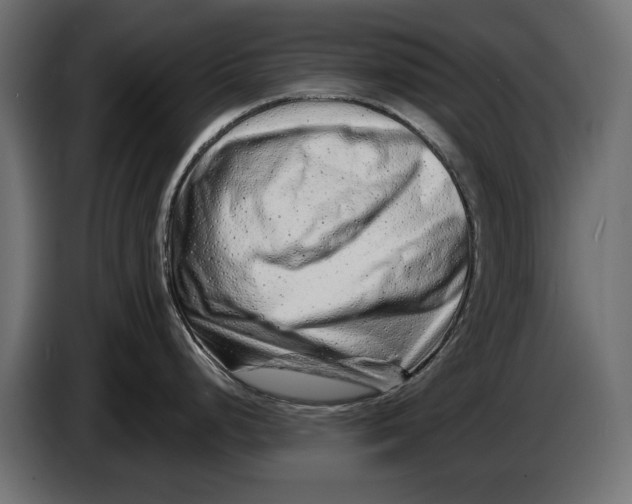 X0000086101248200704132140