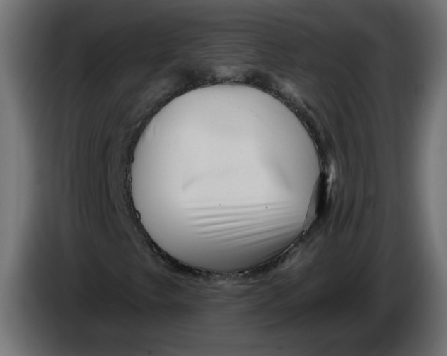 X0000086101249200704132140