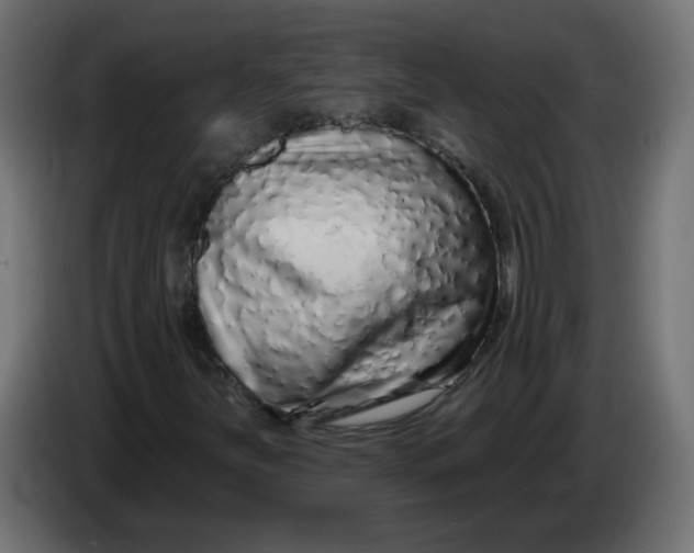 X0000086101251200704132140
