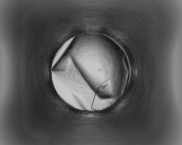 X0000086101252200704132140