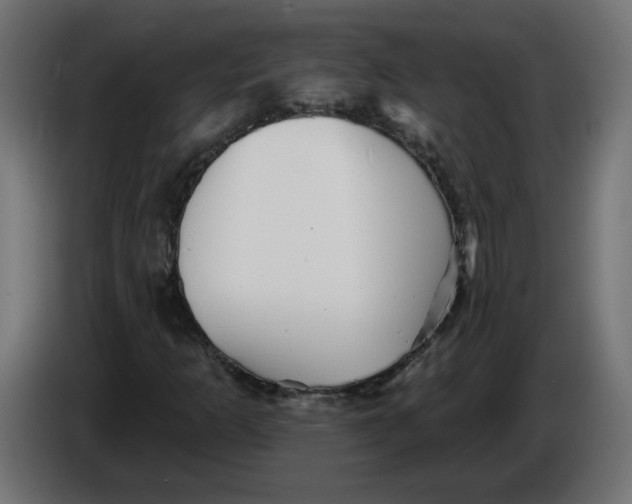 X0000086101253200704132139