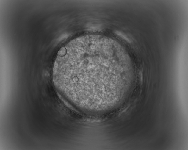 X0000086101254200704132139