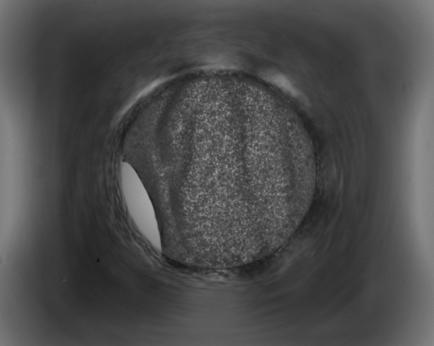 X0000086101255200704132139