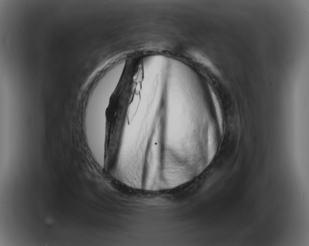 X0000086101256200704132139