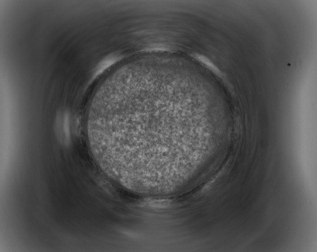 X0000086101258200704132139