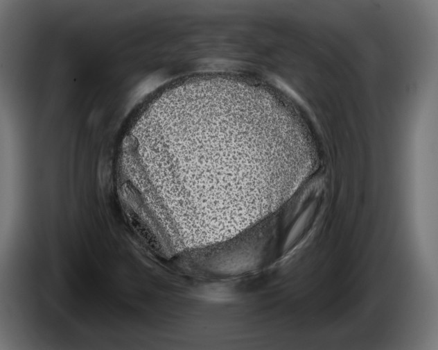 X0000086101259200704132139