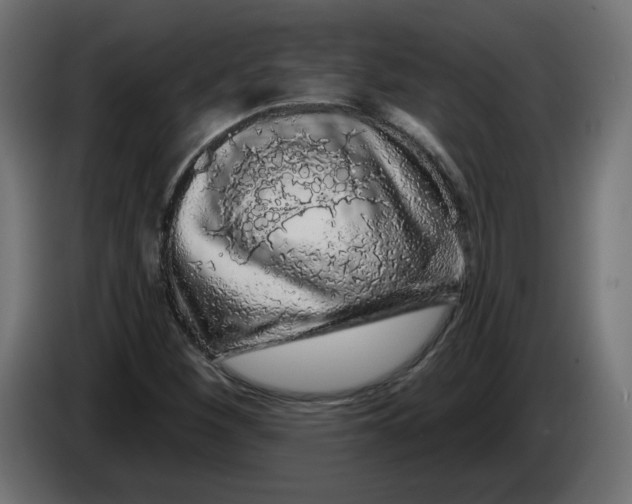 X0000086101260200704132139