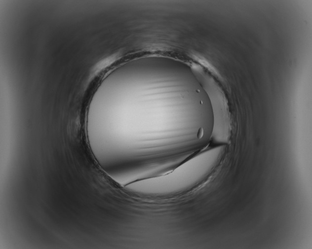 X0000086101261200704132139