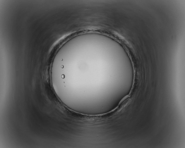 X0000086101262200704132139