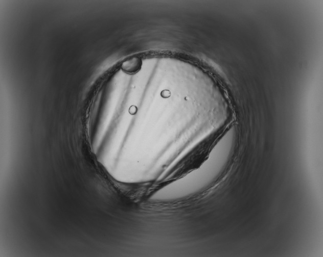 X0000086101263200704132139