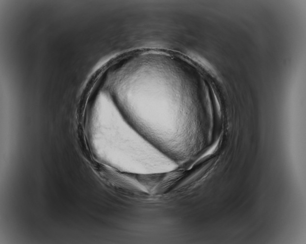 X0000086101264200704132139