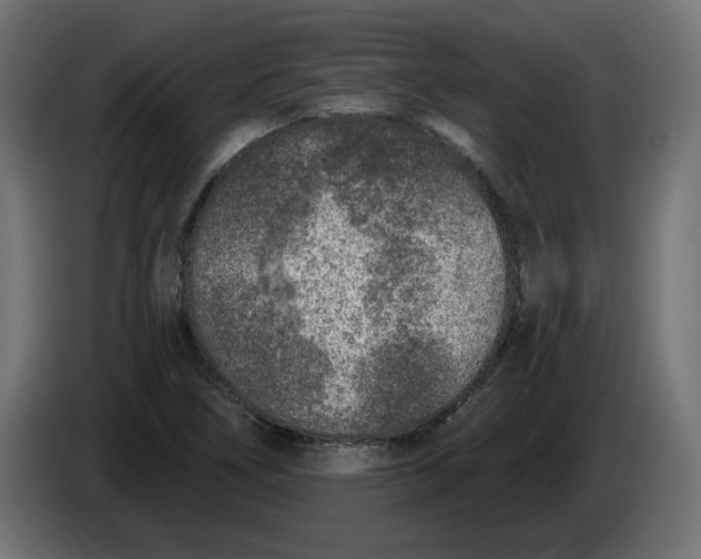 X0000086101266200704132139