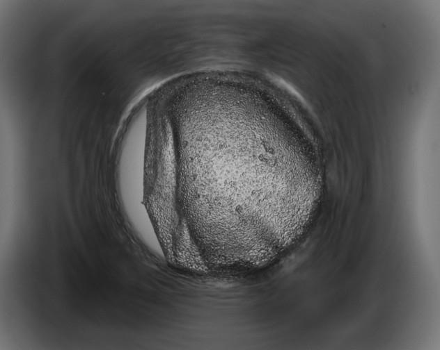 X0000086101267200704132139