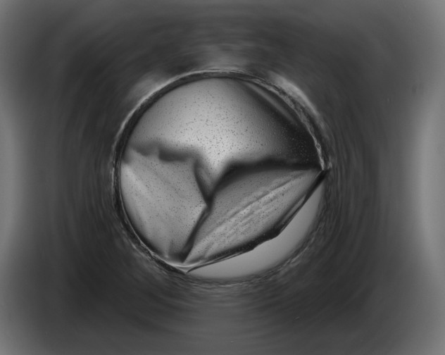 X0000086101268200704132139