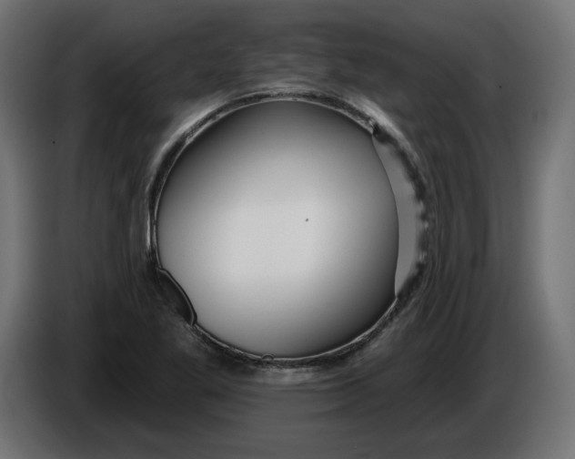 X0000086101269200704132139