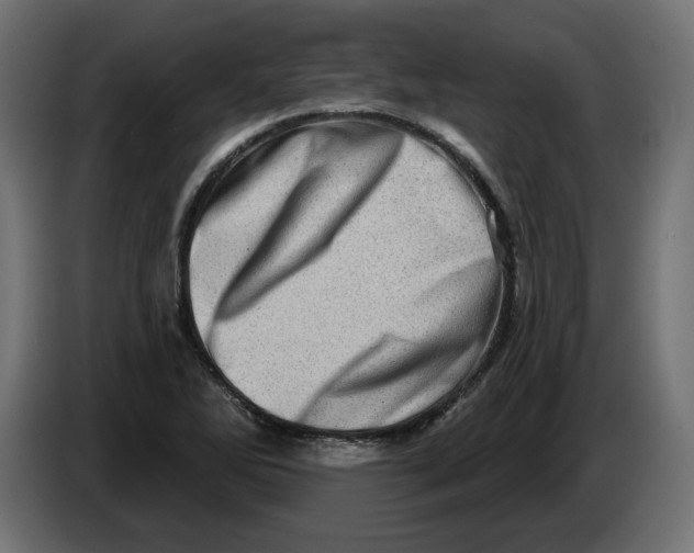 X0000086101270200704132139