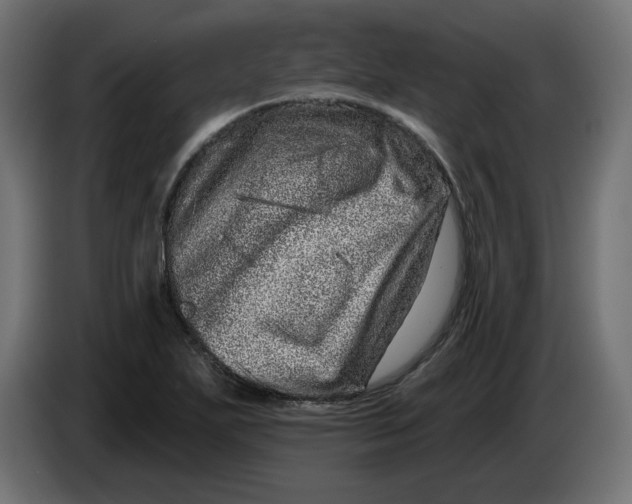 X0000086101271200704132139