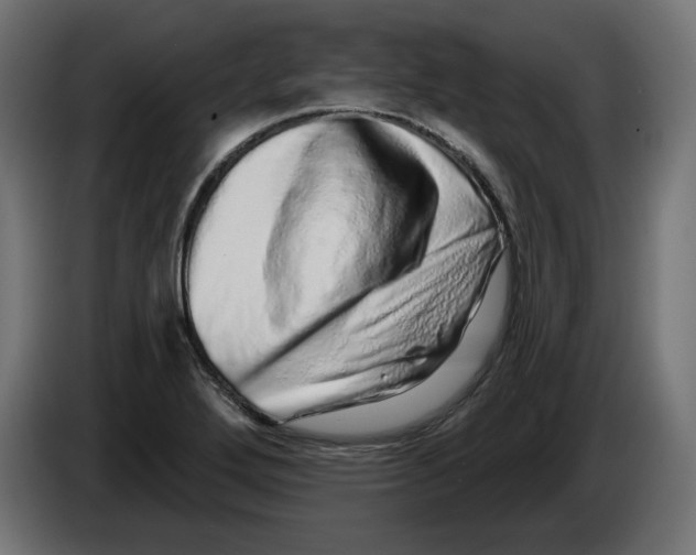 X0000086101272200704132139